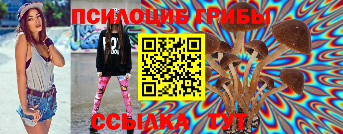 Гулькевичи  Псилоцибиновые грибы мицелий  Вход с VPN 
