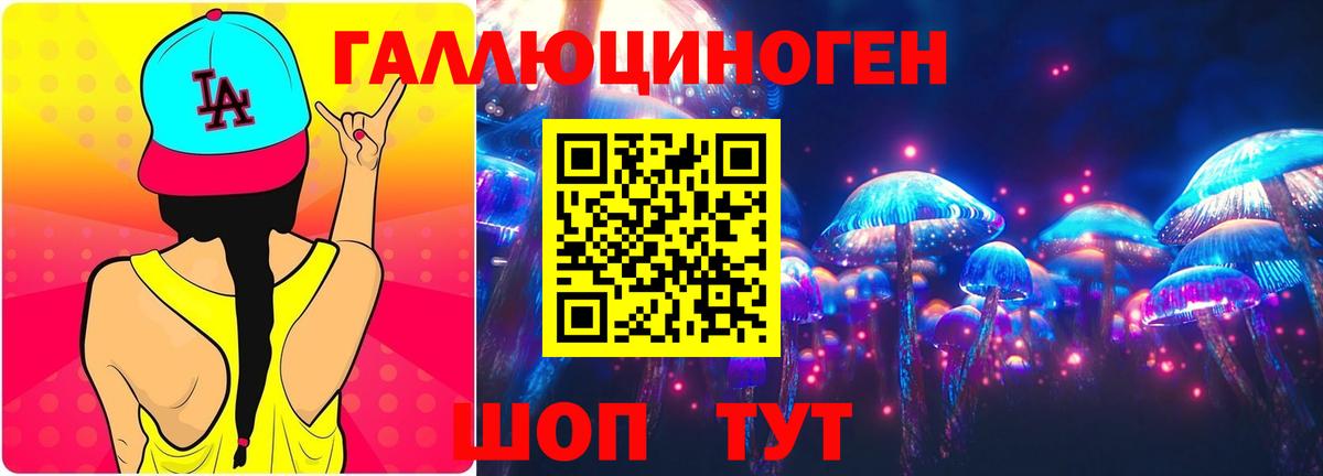 Псилоцибиновые грибы Psilocybe Гулькевичи